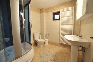 a bathroom with a sink and a toilet and a shower at Guesthouse Papastoikou in Palaios Agios Athanasios