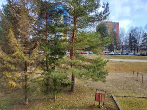 Κήπος έξω από το Apartmán Marek