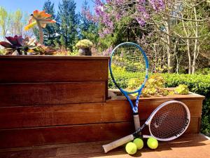 a tennis racket and two tennis balls on the ground at Lifestyle with Tennis Court in Tamahere