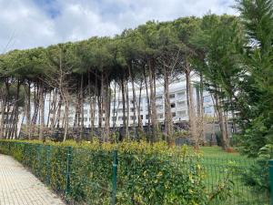 Κήπος έξω από το Lalzi Luxe Retreat