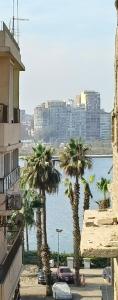a group of palm trees next to a body of water at Old City Nile View in Cairo