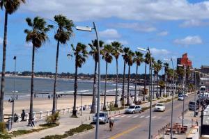 a street with palm trees and a beach at apto nuevo frente al mar in Piriápolis