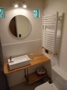 a bathroom with a sink and a mirror and a toilet at Casa Maitén in El Bolsón