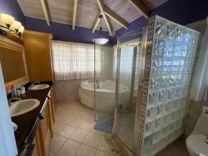 y baño con ducha, 2 lavabos y bañera. en Luxury Spacious Villa with Aircon and Pool Table, en Olveston