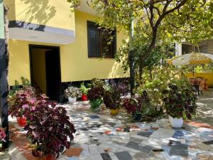 Zahrada ubytování H&A Guest House