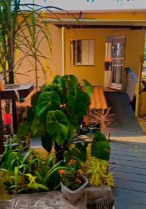 En have udenfor Visão privilegiada Garatucaia