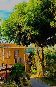 En have udenfor Visão privilegiada Garatucaia