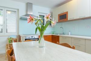 Kuchyň nebo kuchyňský kout v ubytování Luxury Apartment Kalebic