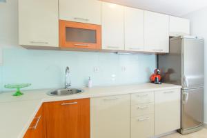 Kuchyň nebo kuchyňský kout v ubytování Luxury Apartment Kalebic
