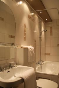 
Een badkamer bij Logis Hostellerie De La Claire Fontaine

