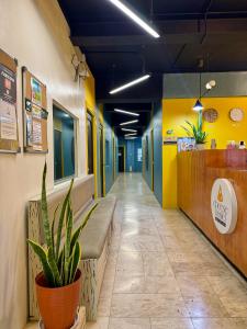 Vstupní hala nebo recepce v ubytování Cheese Hostel Manila
