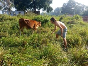 una donna in piedi in un campo con una mucca di AB Nest Hiriketiya a Dikwella