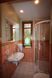 ein Badezimmer mit Waschbecken und Dusche in der Unterkunft Willa Amor in Krynica Morska + 89 Fotos