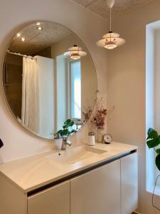 オーデンセにあるModern 3BR near Rosengård, City E20 & Congress Cの洗面台と鏡のあるバスルーム