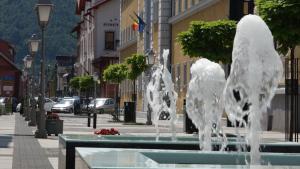 einen Brunnen mitten in einer Straße in der Unterkunft Aparthotel Punct pe i in Sighetu Marmaţiei