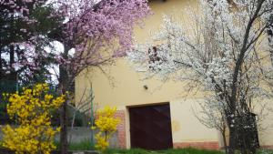 Fotografie z fotogalerie ubytování Allevamento B&B v destinaci Pozzolgroppo