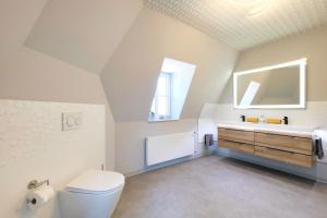 a bathroom with a toilet and a sink and a mirror at Harzträume No2 mit Parkplatz - Zentrum - Brockenbahn - 2 SZ in Wernigerode