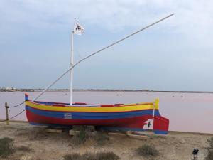 Naturlandskabet i nærheden af lejligheden + 8 billeder