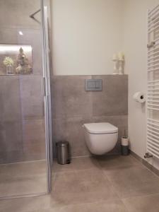 Un baño con inodoro y ducha en Ferienwohnung am Campus, en Oldenburg 9 fotos más