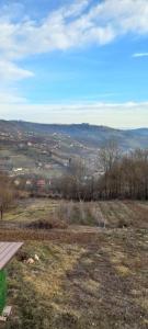 a view of a field with trees and a sky at Smeštaj Miražinke in Pogled +8 photos