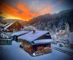 红湖Mountain View Tiny House的雪覆盖的房子,背景是日落