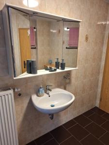 a bathroom with a sink and a mirror at Ferienwohnung Rote-Villa in Marienberg