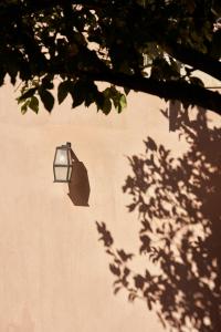 a light on the side of a wall with a tree at Eliathos Hillside Retreat in Archanes +234 photos