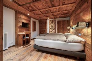TV a/nebo společenská místnost v ubytování Hôtel Le Grand Chalet