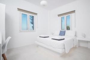 Postel nebo postele na pokoji v ubytování Sunrise Villa Santorini