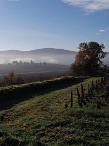 a field with a fence in the middle of a field at Maison bourguignonne in Lugny +20 photos