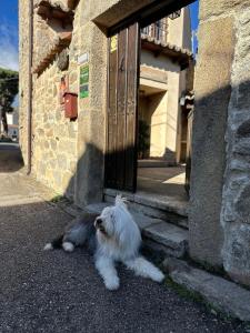 Zwierzęta zatrzymujące się w obiekcie Casa Rural El Caldero Sierra de Béjar