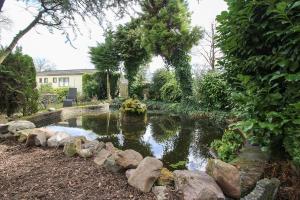 Příroda nedaleko prázdninového domu + 36 fotografií