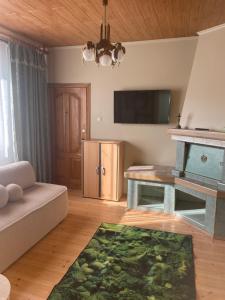 a living room with a couch and a fireplace at Vila Valdonė in Palanga