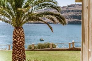 a palm tree with a boat in the water at Lindos Royal Resort in Líndos