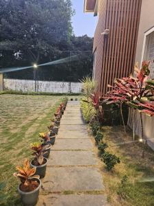 a row of potted plants on a sidewalk next to a building at Pine Tree Garden - No Alcohol Zone in Yelagiri