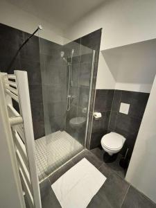 ein Badezimmer mit Dusche und Toilette in der Unterkunft Le Nid en Rotin Apartment in Montbéliard