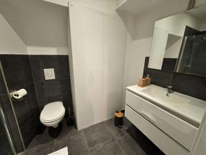 ein Badezimmer mit weißer Toilette und Waschbecken in der Unterkunft Le Nid en Rotin Apartment in Montbéliard