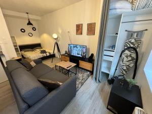 una sala de estar con un sofá y una cama en L'Atelier Urbain Apartment, en Montbéliard