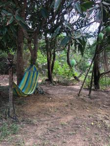 Fotografie z fotogalerie ubytování The Bonsai v destinaci Koh Rong Sanloem