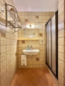 a bathroom with a sink and a mirror at Alpine Aura Hohegeiß in Braunlage