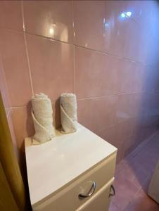 トゥズラにあるApartman Benjaminのバスルーム(白いキャビネット、シャワー付)