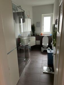 巴塞尔ESC-Basel-Flat - Whole rent to save our MUSICAL THEATER BASEL的带马桶和玻璃淋浴间的浴室