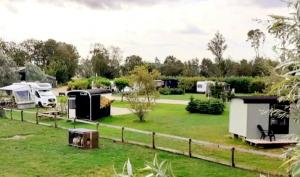 a group of tents in a field with a fence at Zomerzoet in Scherpenzeel