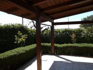 a patio with a wooden pergola and bushes at Pensione Lidia in San Salvo