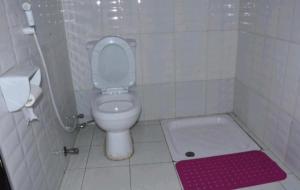 a bathroom with a toilet and a pink rug at Birhanu Guest House and Tours in Lalibela