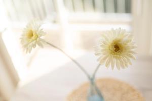 Billede fra billedgalleriet på 'AYUNA' i Langeoog + 1 billede