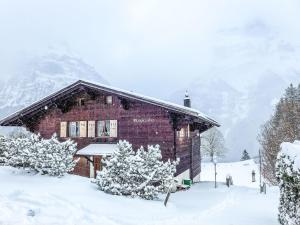 Apartment Chalet Blaugletscher by Interhome v zimě