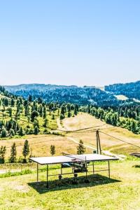 Príroda v okolí apartmánu
