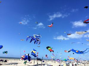 a bunch of kites flying in the sky on a beach at Le Voyageur A la plage vue mer in Berck-sur-Mer