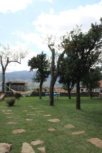 a park with trees and a hammock in the grass at Casa do Couço in Sever do Vouga